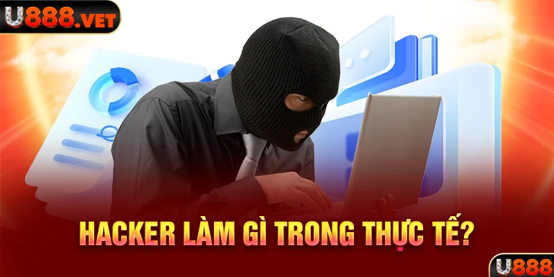 Hacker làm gì trong thực tế?