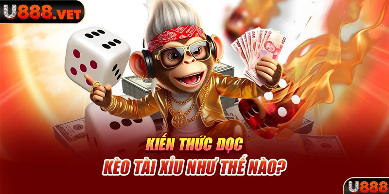 Kiến thức đọc kèo Tài Xỉu như thế nào?